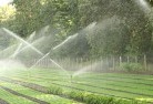 Lismore Heightslandscaping-water-management-and-drainage-17.jpg; ?>